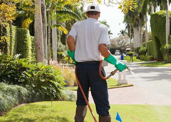 About York NY Pest Control