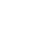 York NY Pest Control